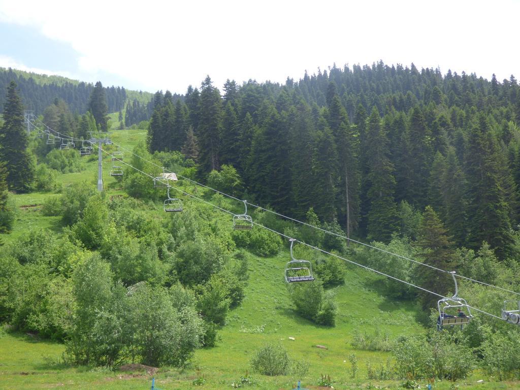 Hotel Hatsvali เมสเตีย ห้อง รูปภาพ