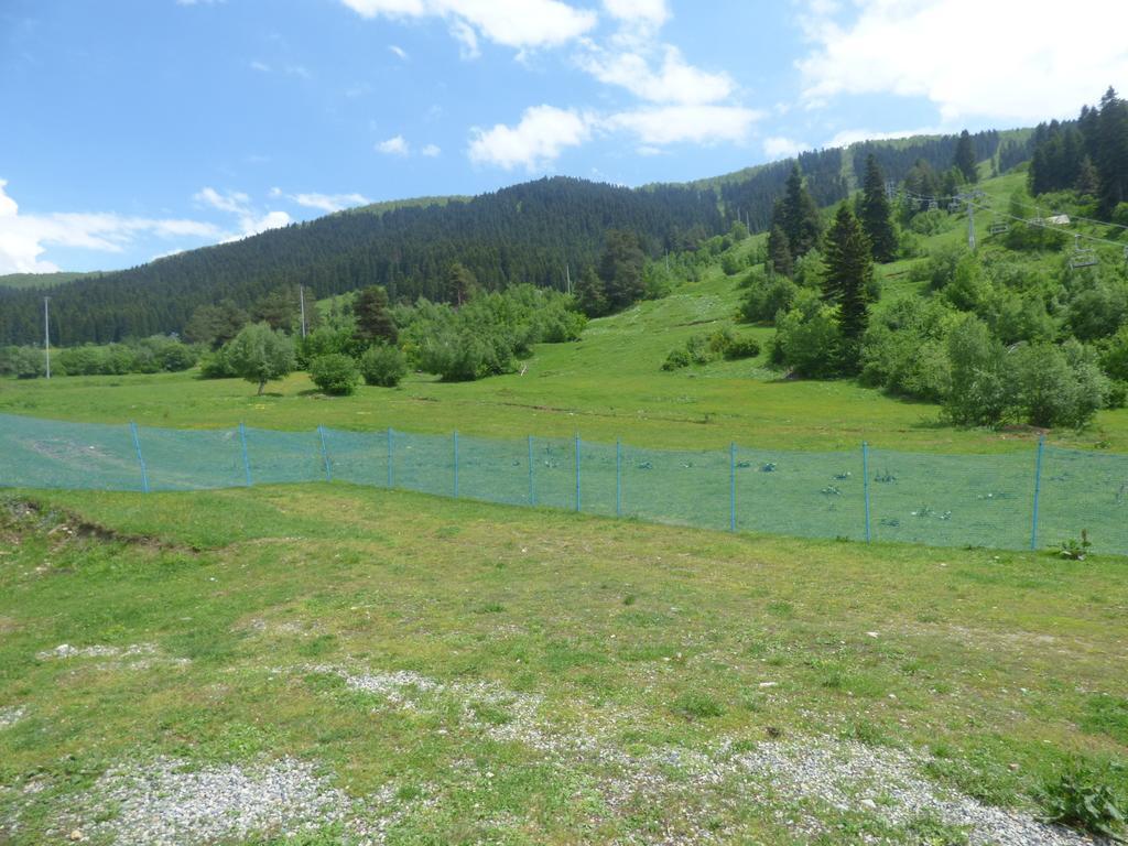 Hotel Hatsvali เมสเตีย ภายนอก รูปภาพ